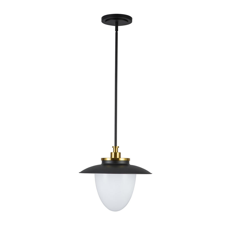 One Light Pendant<br /><span style="color:#4AB0CE;">Entrega: 4-10 dias en USA</span><br /><span style="color:#4AB0CE;font-size:60%;">PREGUNTE POR ENTREGA EN PANAMA</span><br />Collection: Dahlia<br />Finish: Black