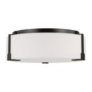Visual Comfort Studio - TFF1002AI - Two Light Flush Mount - Bergen - Aged Iron