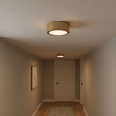 Generation Lighting - GLF1041SB - Flush Mount - Albee - Satin Brass