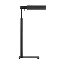 Visual Comfort Studio - LT1181AI1 - One Light Floor Lamp - Leonard - Aged Iron
