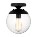 One Light Pendant<br /><span style="color:#4AB0CE;">Entrega: 4-10 dias en USA</span><br /><span style="color:#4AB0CE;font-size:60%;">PREGUNTE POR ENTREGA EN PANAMA</span><br />Collection: Leo - Hanging Globe<br />Finish: Midnight Black