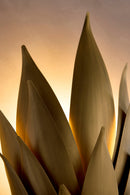 Fredrick Ramond - FR30810BNG - LED Wall Sconce - Agave - Burnished Gold