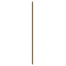 Kuzco Lighting - X-RD34-60BG FAN - Downrod - Fan Downrod - Brushed Gold
