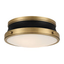 Two Light Flush Mount<br /><span style="color:#4AB0CE;">Entrega: 4-10 dias en USA</span><br /><span style="color:#4AB0CE;font-size:60%;">PREGUNTE POR ENTREGA EN PANAMA</span><br />Collection: Purelight<br />Finish: Legacy Brass