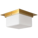 Two Light Flush Mount<br /><span style="color:#4AB0CE;">Entrega: 1-2 semanas en USA</span><br /><span style="color:#4AB0CE;font-size:60%;">PREGUNTE POR ENTREGA EN PANAMA</span><br />Collection: Mineral<br />Finish: Patina Brass/Opal Glass