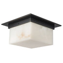 Two Light Flush Mount<br /><span style="color:#4AB0CE;">Entrega: 4-10 dias en USA</span><br /><span style="color:#4AB0CE;font-size:60%;">PREGUNTE POR ENTREGA EN PANAMA</span><br />Collection: Mineral<br />Finish: Urban Bronze/Alabaster