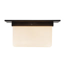 Two Light Flush Mount<br /><span style="color:#4AB0CE;">Entrega: 4-10 dias en USA</span><br /><span style="color:#4AB0CE;font-size:60%;">PREGUNTE POR ENTREGA EN PANAMA</span><br />Collection: Mineral<br />Finish: Urban Bronze/Matte Opal Glass
