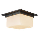Two Light Flush Mount<br /><span style="color:#4AB0CE;">Entrega: 4-10 dias en USA</span><br /><span style="color:#4AB0CE;font-size:60%;">PREGUNTE POR ENTREGA EN PANAMA</span><br />Collection: Mineral<br />Finish: Urban Bronze/Matte Opal Glass