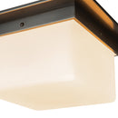 Two Light Flush Mount<br /><span style="color:#4AB0CE;">Entrega: 4-10 dias en USA</span><br /><span style="color:#4AB0CE;font-size:60%;">PREGUNTE POR ENTREGA EN PANAMA</span><br />Collection: Mineral<br />Finish: Urban Bronze/Matte Opal Glass