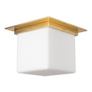 One Light Flush Mount<br /><span style="color:#4AB0CE;">Entrega: 4-10 dias en USA</span><br /><span style="color:#4AB0CE;font-size:60%;">PREGUNTE POR ENTREGA EN PANAMA</span><br />Collection: Mineral<br />Finish: Patina Brass/Opal Glass