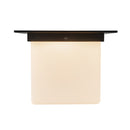 One Light Flush Mount<br /><span style="color:#4AB0CE;">Entrega: 4-10 dias en USA</span><br /><span style="color:#4AB0CE;font-size:60%;">PREGUNTE POR ENTREGA EN PANAMA</span><br />Collection: Mineral<br />Finish: Urban Bronze/Matte Opal Glass
