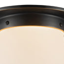 One Light Flush Mount<br /><span style="color:#4AB0CE;">Entrega: 1-2 semanas en USA</span><br /><span style="color:#4AB0CE;font-size:60%;">PREGUNTE POR ENTREGA EN PANAMA</span><br />Collection: Mineral<br />Finish: Urban Bronze/Matte Opal Glass