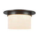 Two Light Flush Mount<br /><span style="color:#4AB0CE;">Entrega: 3-4 semanas en USA</span><br /><span style="color:#4AB0CE;font-size:60%;">PREGUNTE POR ENTREGA EN PANAMA</span><br />Collection: Mineral<br />Finish: Urban Bronze/Alabaster