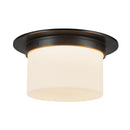 Two Light Flush Mount<br /><span style="color:#4AB0CE;">Entrega: 3-4 semanas en USA</span><br /><span style="color:#4AB0CE;font-size:60%;">PREGUNTE POR ENTREGA EN PANAMA</span><br />Collection: Mineral<br />Finish: Urban Bronze/Matte Opal Glass