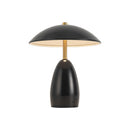 LED Table Lamp<br /><span style="color:#4AB0CE;">Entrega: 4-10 dias en USA</span><br /><span style="color:#4AB0CE;font-size:60%;">PREGUNTE POR ENTREGA EN PANAMA</span><br />Collection: Poppy<br />Finish: Glossy Black