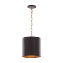 One Light Pendant<br /><span style="color:#4AB0CE;">Entrega: 7-8 semanas en USA</span><br /><span style="color:#4AB0CE;font-size:60%;">PREGUNTE POR ENTREGA EN PANAMA</span><br />Collection: Cannery<br />Finish: Dark Bronze / French Gold