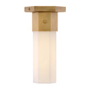 LED Flush Mount<br /><span style="color:#4AB0CE;">Entrega: 4-10 dias en USA</span><br /><span style="color:#4AB0CE;font-size:60%;">PREGUNTE POR ENTREGA EN PANAMA</span><br />Collection: Facet<br />Finish: Heritage Brass