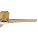 52" Ceiling Fan<br /><span style="color:#4AB0CE;">Entrega: 4-5 semanas en USA</span><br /><span style="color:#4AB0CE;font-size:60%;">PREGUNTE POR ENTREGA EN PANAMA</span><br />Collection: Ari<br />Finish: Heritage Brass