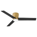 52" Ceiling Fan<br /><span style="color:#4AB0CE;">Entrega: 4-5 semanas en USA</span><br /><span style="color:#4AB0CE;font-size:60%;">PREGUNTE POR ENTREGA EN PANAMA</span><br />Collection: Ari<br />Finish: Heritage Brass