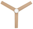 52" Ceiling Fan<br /><span style="color:#4AB0CE;">Entrega: 4-5 semanas en USA</span><br /><span style="color:#4AB0CE;font-size:60%;">PREGUNTE POR ENTREGA EN PANAMA</span><br />Collection: Ari<br />Finish: Heritage Brass