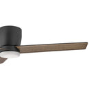 52" Ceiling Fan<br /><span style="color:#4AB0CE;">Entrega: 4-5 semanas en USA</span><br /><span style="color:#4AB0CE;font-size:60%;">PREGUNTE POR ENTREGA EN PANAMA</span><br />Collection: Ari<br />Finish: Matte Black