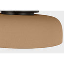 One Light Flush Mount<br /><span style="color:#4AB0CE;">Entrega: 3-4 semanas en USA</span><br /><span style="color:#4AB0CE;font-size:60%;">PREGUNTE POR ENTREGA EN PANAMA</span><br />Collection: Liora<br />Finish: Aged Iron