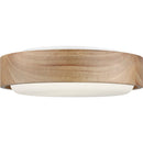 Two Light Flush Mount<br /><span style="color:#4AB0CE;">Entrega: 6-7 semanas en USA</span><br /><span style="color:#4AB0CE;font-size:60%;">PREGUNTE POR ENTREGA EN PANAMA</span><br />Collection: Aurelle<br />Finish: Natural Honey