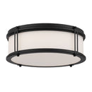 LED Flush Mount<br /><span style="color:#4AB0CE;">Entrega: 4-10 dias en USA</span><br /><span style="color:#4AB0CE;font-size:60%;">PREGUNTE POR ENTREGA EN PANAMA</span><br />Collection: Merick<br />Finish: Dark Matte Black