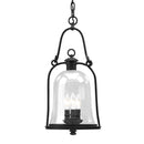 Troy Lighting - F9467-TBK - Three Light Hanging Lantern - Owings Mill - Texture Black