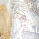 Varaluz - 178N06A - Six Light Linear Pendant - Big - Kabebe