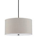 Visual Comfort Studio - 65262-710 - Four Light Pendant - Dayna - Bronze