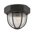 Troy Lighting - C3891-APW - One Light Flush Mount - Acme - Aged Pewter