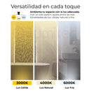 LÁMPARA MODERNA DE PARED LED 12W, INTERRUPTOR CCT PARA ELEGIR TONALIDAD DE LUZ: 30K,40K,60K, 110-240V, 50-60HZ,  IP44, ACABADO DORADO.