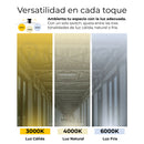 REFLECTOR LINEAL WALL WASHER 36W, 4000LM,  INTERRUPTOR CCT 3000K,4500K,6000K,  IP67, 110-277V, 50-60HZ, ANGULO DE APERTURA 30º , ACABADO GRIS.