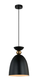 LÁMPARA DE TECHO COLGANTE DECORATIVA 1XE27-40W (NO INCLUIDO) 110-240V, 50-60HZ, GRADO DE PROTECCION IP20, ACABADO NEGRO.