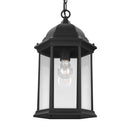 Generation Lighting - 6238701-12 - One Light Outdoor Pendant - Sevier - Black