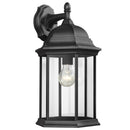 One Light Outdoor Wall Lantern<br /><span style="color:#4AB0CE;">Entrega: 4-10 dias en USA</span><br /><span style="color:#4AB0CE;font-size:60%;">PREGUNTE POR ENTREGA EN PANAMA</span><br />Collection: Sevier<br />Finish: Black