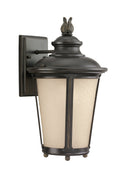 Generation Lighting - 88241EN3-780 - One Light Outdoor Wall Lantern - Cape May - Burled Iron