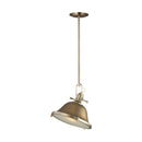 One Light Pendant<br /><span style="color: