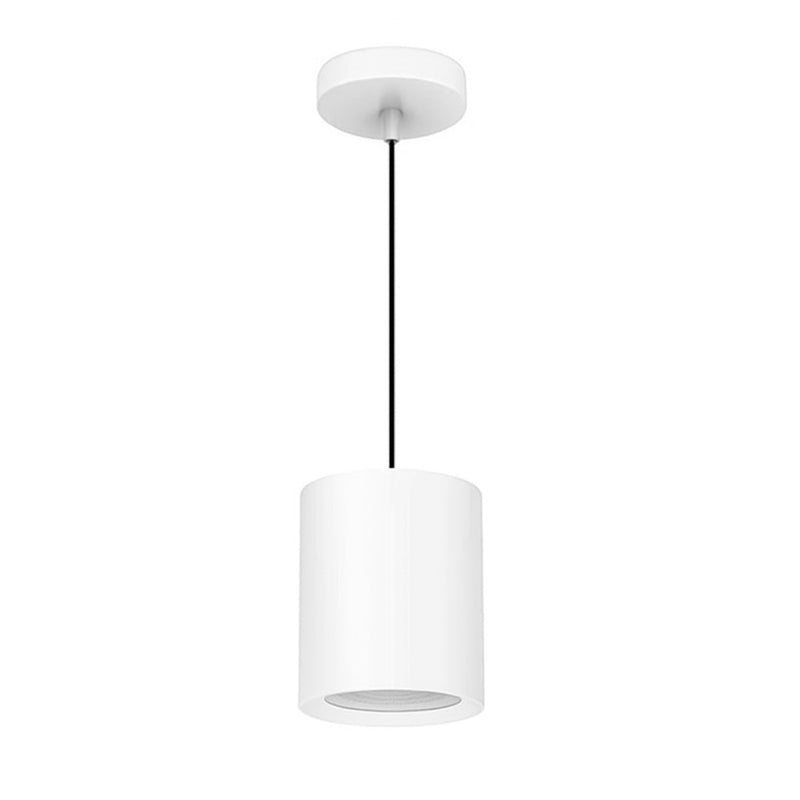 LÁMPARA DE TECHO SPOT COLGANTE 1XE27-60W - PAR30, 110-240V, 50-60HZ, GRADO DE PROTECCION IP20, ACABADO BLANCO.