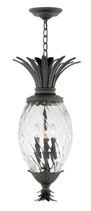 Hinkley - 2122MB - LED Hanging Lantern - Plantation - Museum Black