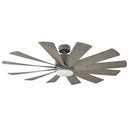 Modern Forms Fans - FR-W1815-60L35GHWG - 60"Ceiling Fan - Windflower - Graphite/Weathered Gray