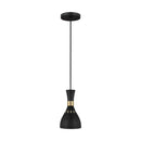 One Light Pendant<br /><span style="color:#4AB0CE;">Entrega: 4-10 dias en USA</span><br /><span style="color:#4AB0CE;font-size:60%;">PREGUNTE POR ENTREGA EN PANAMA</span><br />Collection: Joan<br />Finish: Midnight Black