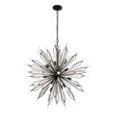 16 Light Pendant<br /><span style="color:#4AB0CE;">Entrega: 14-15 semanas en USA</span><br /><span style="color:#4AB0CE;font-size:60%;">PREGUNTE POR ENTREGA EN PANAMA</span><br />Collection: Orbital<br />Finish: Carbon