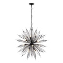 16 Light Pendant<br /><span style="color:#4AB0CE;">Entrega: 4-10 dias en USA</span><br /><span style="color:#4AB0CE;font-size:60%;">PREGUNTE POR ENTREGA EN PANAMA</span><br />Collection: Orbital<br />Finish: Carbon