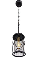 One Light Pendant<br /><span style="color: