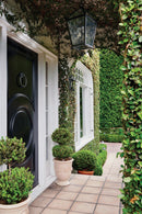 Troy Lighting - F4128-FRN - Four Light Outdoor Lantern - Santa Barbara County - French Iron