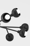 12 Light Chandelier<br /><span style="color:#4AB0CE;">Entrega: 4-10 dias en USA</span><br /><span style="color:#4AB0CE;font-size:60%;">PREGUNTE POR ENTREGA EN PANAMA</span><br />Collection: Colt<br />Finish: Soft Black