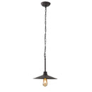 One Light Pendant<br /><span style="color: