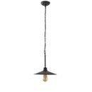One Light Pendant<br /><span style="color: